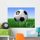 Soccer Ball Wall Mural