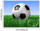 Soccer Ball Wall Mural