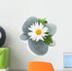 Daisy camomile flower and sea stones Wall Decal