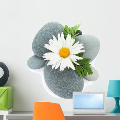 Daisy Camomile Flower and Wall Decal shown on a wall