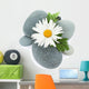 Daisy camomile flower and sea stones Wall Decal