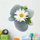 Daisy camomile flower and sea stones Wall Decal