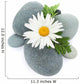 Daisy camomile flower and sea stones Wall Decal