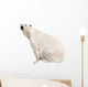 White Polar Bear