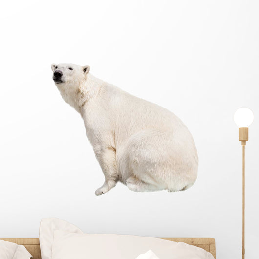 White Polar Bear