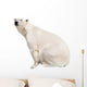 White Polar Bear