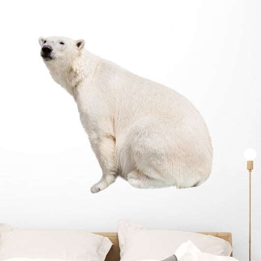 White Polar Bear