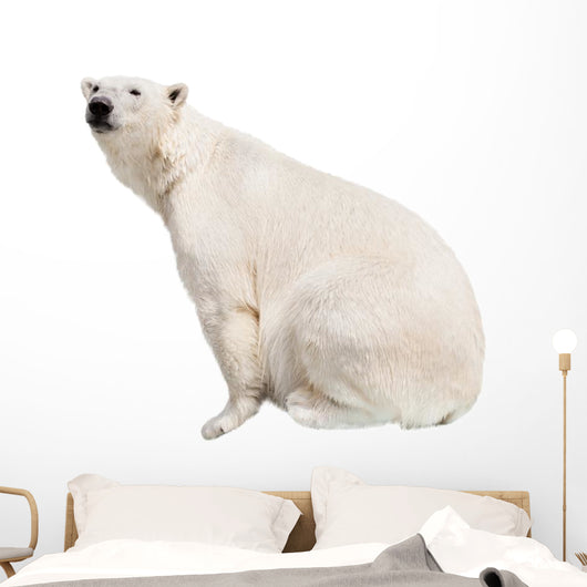 White Polar Bear