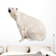 White Polar Bear
