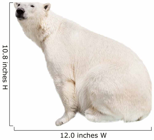 White Polar Bear