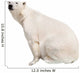White Polar Bear