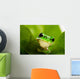 Frog Peeking Out Wall Mural