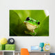 Frog Peeking Out Wall Mural