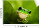 Frog Peeking Out Wall Mural