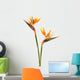 Bird Paradise Flower