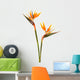 Bird Paradise Flower
