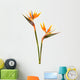 Bird Paradise Flower