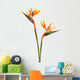 Bird Paradise Flower