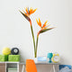Bird Paradise Flower