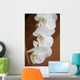 Orchid Wall Mural