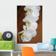 Orchid Wall Mural