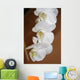 Orchid Wall Mural