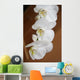 Orchid Wall Mural