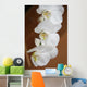 Orchid Wall Mural
