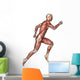 Male Anatomy Figure Wall Decal