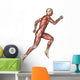 Male Anatomy Figure Wall Decal