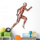 Male Anatomy Figure Wall Decal