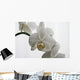 Orchid Wall Mural