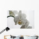 Orchid Wall Mural