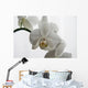 Orchid Wall Mural