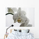 Orchid Wall Mural