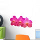 beautiful blooming orchid Wall Decal