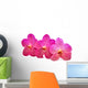 beautiful blooming orchid Wall Decal