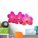 beautiful blooming orchid Wall Decal