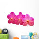 beautiful blooming orchid Wall Decal
