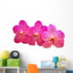 beautiful blooming orchid Wall Decal