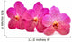 beautiful blooming orchid Wall Decal