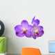 beautiful blooming orchid Wall Decal