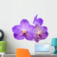 beautiful blooming orchid Wall Decal