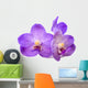 beautiful blooming orchid Wall Decal