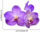 beautiful blooming orchid Wall Decal