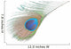 Green Peacock Feathers