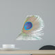 Green Peacock Feathers