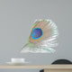Green Peacock Feathers