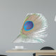 Green Peacock Feathers