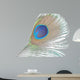 Green Peacock Feathers